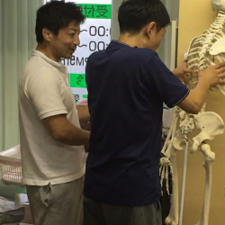 関節ニュートラル整体の技術イメージ